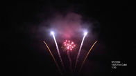 Mandarin Professional Outdoor Pyrotechnics Fireworks 130 Shots For New Year