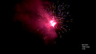 OEM 100 Shots Professional Pyrotechnics Fireworks