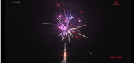 1.4g Un0336 Pyrotechnics Consumer Cake Fireworks EX Approved