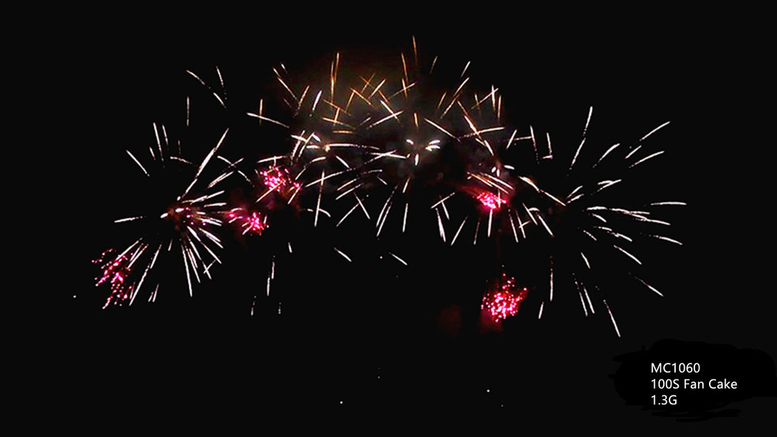 Professional Pyrotechnics Salute Cake Fireworks 100 Shots