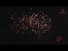 24 Shots Consumer Cake Fireworks 30*36*225mm For Wedding