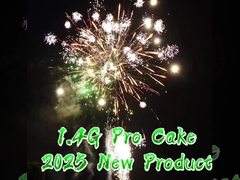 Liuyang Factory 300 Shots 1000 Gram Cake Fireworks Pyrotechnic For Celebration Events Festival