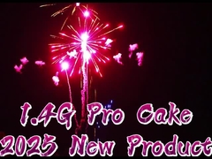1.4G Outdoor 300 Shots Cake Fireworks Sky Shot Fireworks Firecrackers Christmas Pyro Fireworks For S
