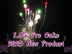 1.4G Pro Chinese 172 Shots Wholesale Cake Fireworks New Year Celebration Pyrotechnics
