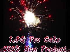 Mandarin Fireworks 1.4 Pro Fireworks Wholesale US Pyrotechnics Cake Fireworks For Festival 300 Shots