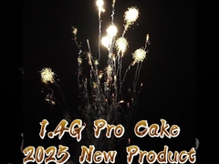 Chinese 210 Shots 1000g Cake FIreworks US 1.4 Pro Customized Outdoor Fireworks