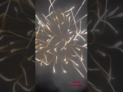 Professional Display Firework Mortar Artillery Shell Pyrotechnics Supplies 6 Inch Display Shells