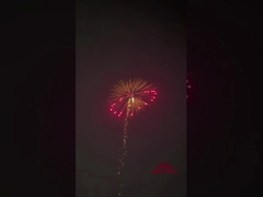 1.3g Pyrotechnics Firecrackers Artillery Salute Shell Canister 4 Inch Display Shells Fireworks