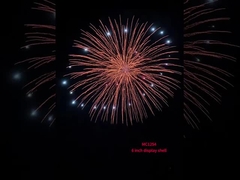 Chinese Professional Display Shells Fireworks Pyrotechnics 6 Inch Display Shell Balls