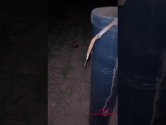 Chinese Professional Fireworks For New Year Celebration 6 Inch Ball Display Shells