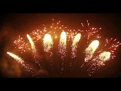 Mandarin Fireworks Pyrotechnics 65 Shots Fan Shaped Fireworks