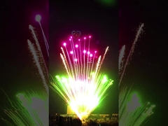 Chinese Pyrotechnics 150 Shots Professional Fireworks For New Year Party Celebration