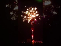 Liuyang Pyrotechnics Fireworks 196 Shots Professional Cake Fireworks Special Effects Show