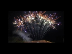 Mandarin 1.3g Pyrotechnics 13 Shots Professional Single Row Fireworks