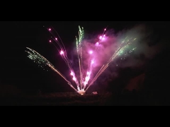 Chinese Pyrotechnics Outdoor 300 Shots Professional Fireworks Display 1.3g Fan Shaped