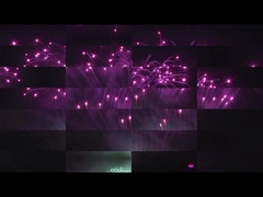 Liuyang Mandarin Cake Pyrotechnics 208 Shots Professional Display Fireworks 1.3g