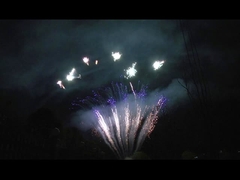 Mandarin Display 90 Shots Salute Pyrotechnics Professional Cake Fireworks For Party