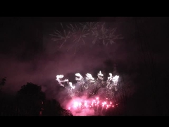 Liuyang 56 Shots Professional Fireworks Display 1.3g Un0335 For Festival Celebration