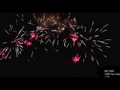 Professional Pyrotechnics Salute Cake Fireworks 100 Shots
