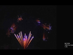 CE 100 150 300 500 600 1000 Shots Professional Cake Fireworks Customizable