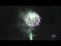 AFSL Customizable 100 Shots Professional Cake Fireworks For Festival Celebration