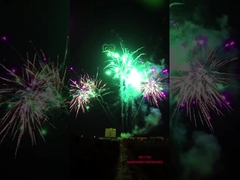 Professional Outdoor Cake Fireworks 228 Shots Stadium Celebration 1.3g