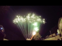 Display Professional Big Pyrotechnics 49 Shots Cake Fireworks Salutes