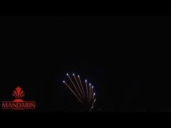 200 Shots Professional Fireworks Display Customized Pyrotechnics Display
