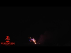 Salutes Professional Fireworks Display 100 Shots Z / Fan Shape Cake Pyrotechnics