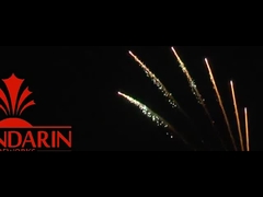 Salute Pyrotechnics Professional Fireworks Display 100 Shots 1.3g Un0335