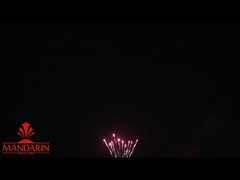 1.3g Un0335 Professional Fireworks Display  / 100 Shots Cake Fireworks For New Year