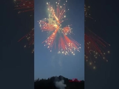 Liuyang Silver Ponytail Fireworks Cakes 2024 Chinese Factory Firecrackers & Fireworks Consumer Cakes