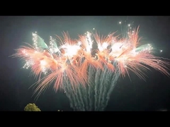 Chinese Cake Fireworks Type Festival Celebration Pyrotechnics Outdoor Fireworks 2024