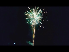 Liuyang Outdoor Big Consumer Cake Fireworks For Celebration 209 Shots Cake Fireworks