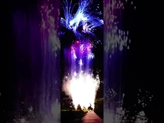 Chinese Customized 100 Shots Pyrotechnic Consumer Cake Fireworks For New Year