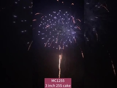 Chinese 25 Shots Cake Fireworks Pyrotechnic For Celebration Meetings