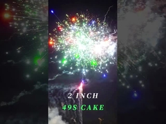 Chinese 2inch 49 Shots Pyrotechnic Cake Fireworks Customized New Year Fireworks