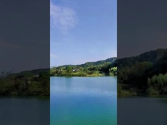 Daytime 49 Shots Chinese Cake Fireworks Coloured Smoke Fireworks For Celebration