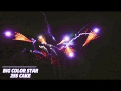 25 Shots Consumer Cake Fireworks Fan Shape Pyrotechnics 1.4g Un0336