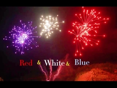 Chinese Liuyang Professional 108 Shots Cake Fireworks 1.4g Un0336