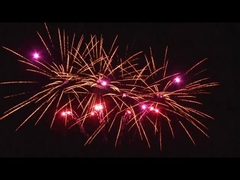 Outdoor 20 Shots Celebration Cake Pyrotechnics Fan Shaped Customized 1.4g