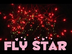 Chinese Consumer Cake Fireworks Customized 25 Shots 500G Pyrotechnics