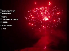 Liuyang Custom Cake Fireworks Chinese Outdoor Pyrotechnic 500G 24 Shots