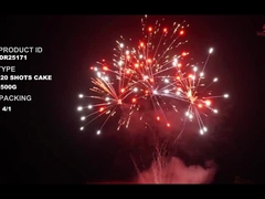 Liuyang 20 Shots 500g Customized Cake Fireworks For New Year