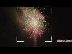 Mandarin Consumer Salutes Hunan Fireworks Pyrotechnics 100 Shot Cake Fireworks