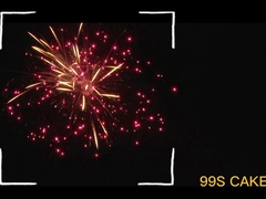 Mandarin Pyrotechnics 99 Shot Consumer Cake Fireworks In Amazing Effect