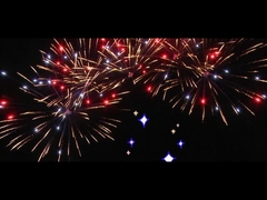 Chinese 25 Shots Fan Cake Fireworks For Celebration Custom Outdoor Fireworks