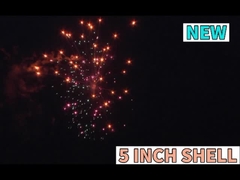 Liuyang Custom Pyrotechnic Chinese Firework Outdoor 5 Inch Fireworks Shell