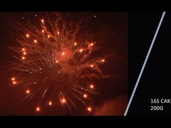 Mandarin 2021 New 16 Shots 200g Cake Fireworks For Celebration Party