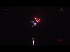 CE Marked Outdoor 100 Shots Consumer Cake Fireworks For Birthday Celebration